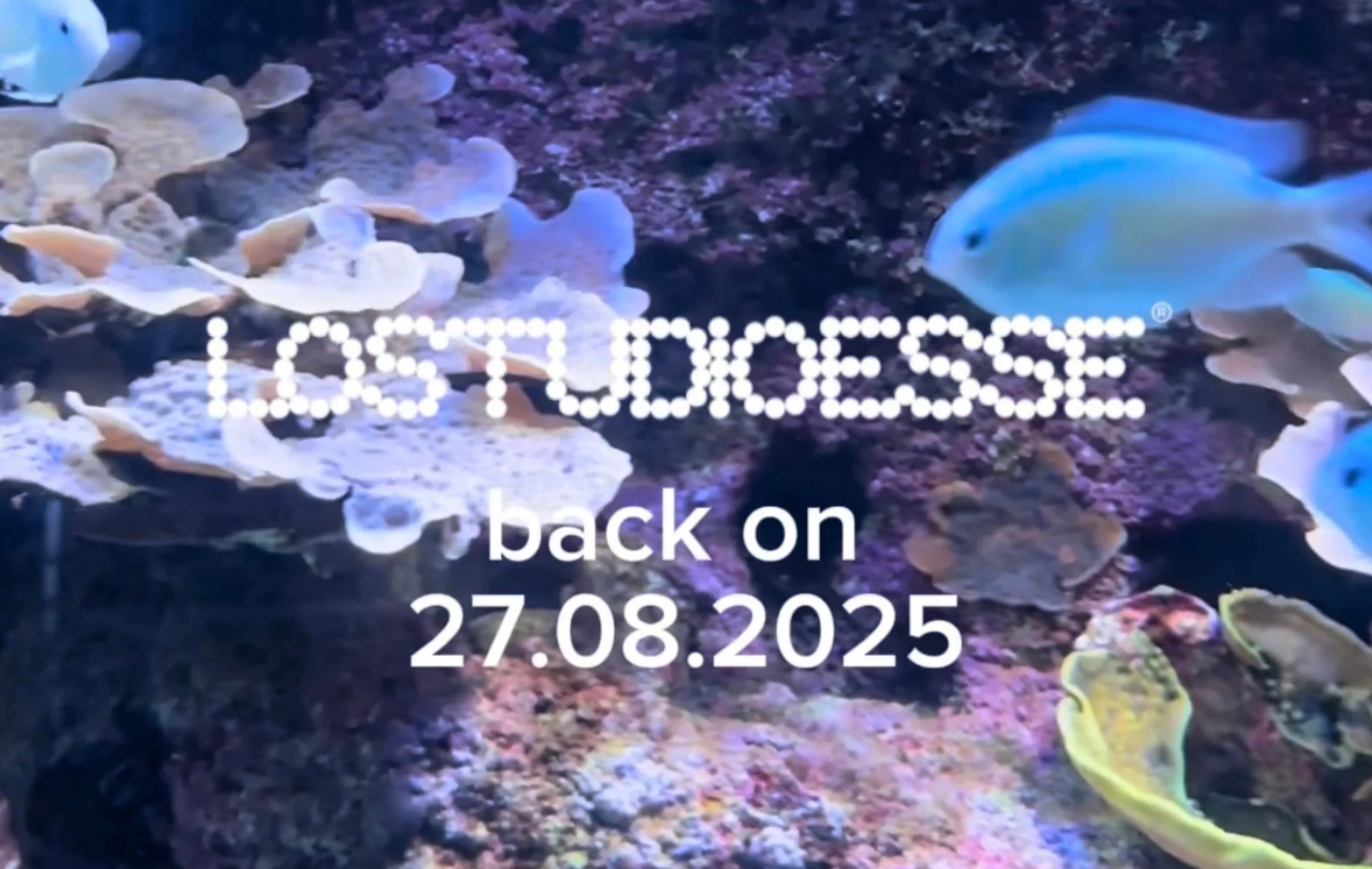 BACK ON 27.08.2025